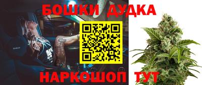 индика Волжский